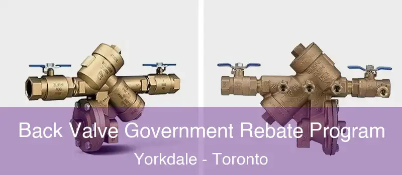  Back Valve Government Rebate Program Yorkdale - Toronto