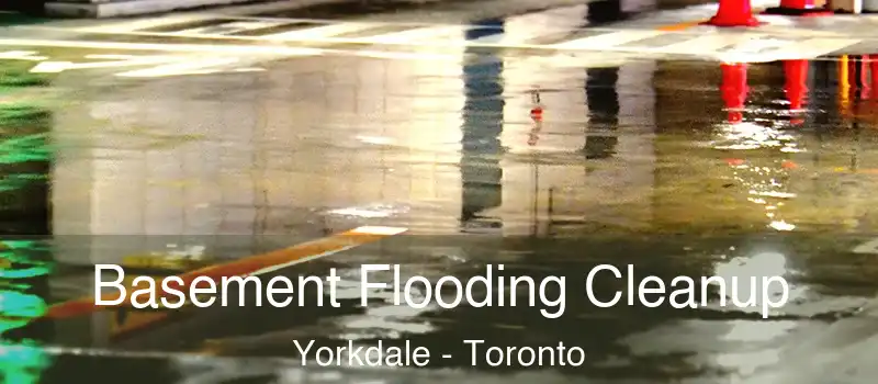  Basement Flooding Cleanup Yorkdale - Toronto