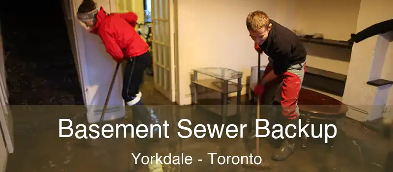 Basement Sewer Backup Yorkdale - Toronto