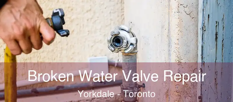  Broken Water Valve Repair Yorkdale - Toronto