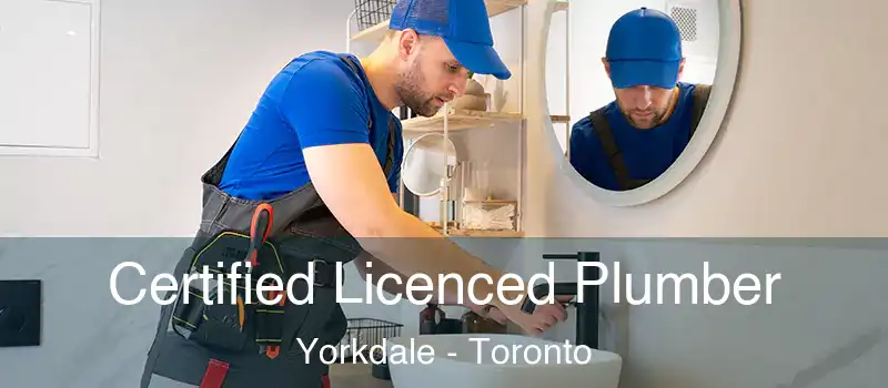  Certified Licenced Plumber Yorkdale - Toronto