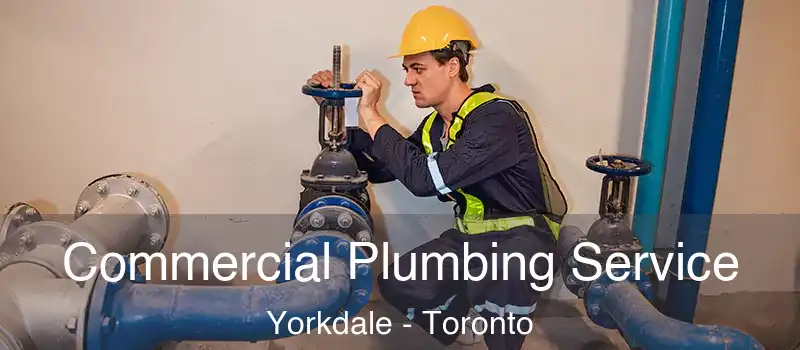 Commercial Plumbing Service Yorkdale - Toronto