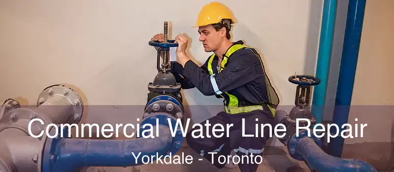  Commercial Water Line Repair Yorkdale - Toronto