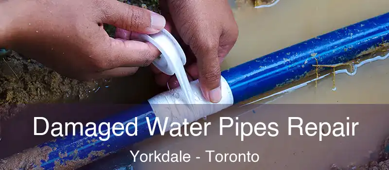  Damaged Water Pipes Repair Yorkdale - Toronto