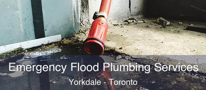  Emergency Flood Plumbing Services Yorkdale - Toronto