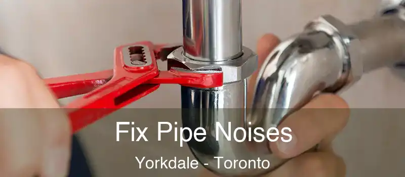  Fix Pipe Noises Yorkdale - Toronto