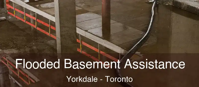  Flooded Basement Assistance Yorkdale - Toronto