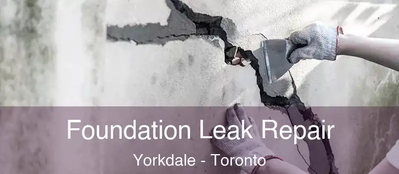  Foundation Leak Repair Yorkdale - Toronto