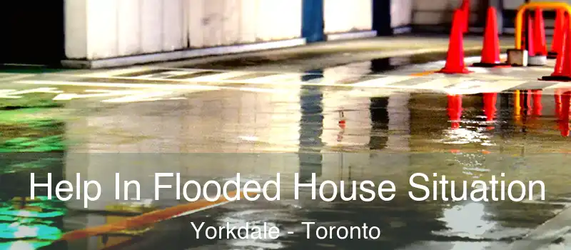 Help In Flooded House Situation Yorkdale - Toronto