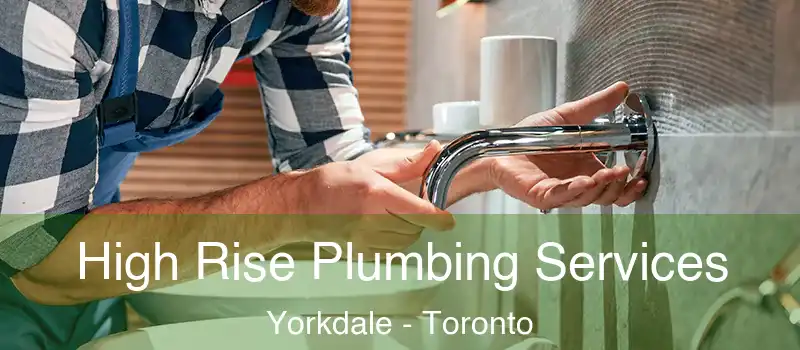  High Rise Plumbing Services Yorkdale - Toronto
