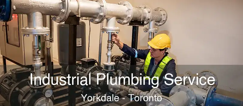 Industrial Plumbing Service Yorkdale - Toronto
