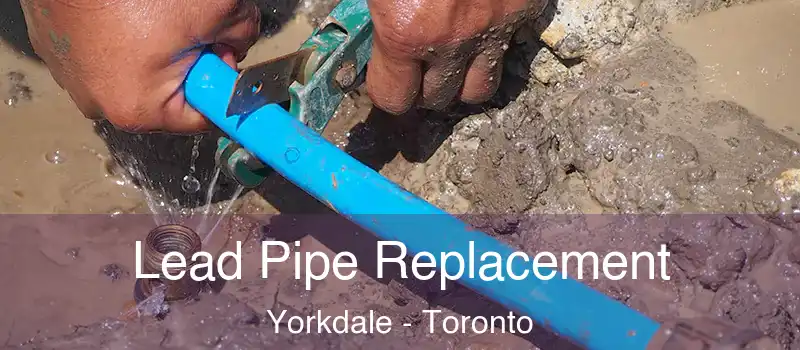 Lead Pipe Replacement Yorkdale - Toronto