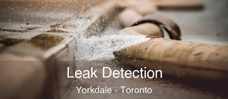 Leak Detection Yorkdale - Toronto