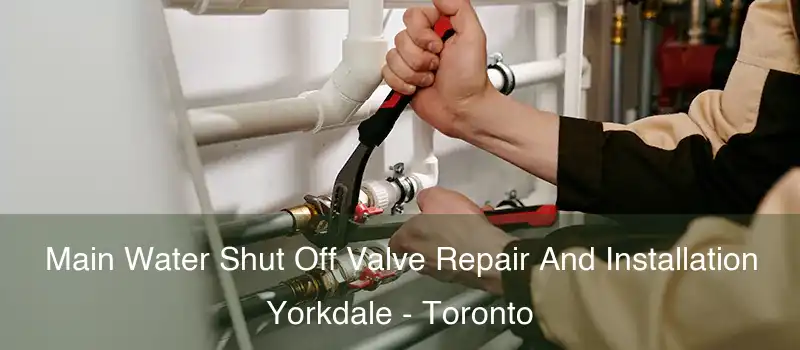 Main Water Shut Off Valve Repair And Installation Yorkdale - Toronto