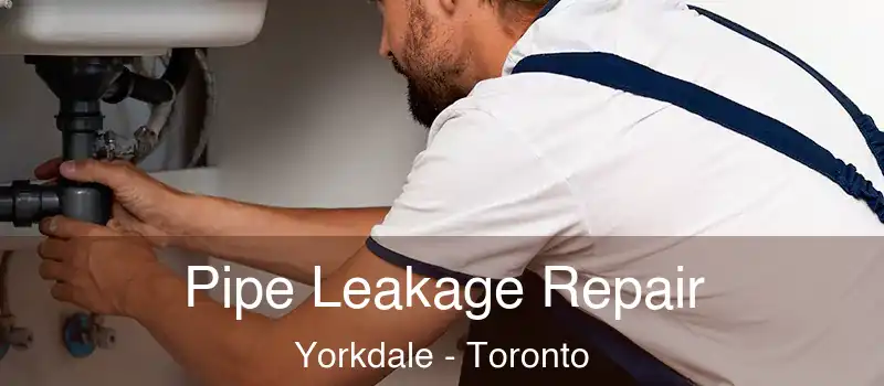  Pipe Leakage Repair Yorkdale - Toronto