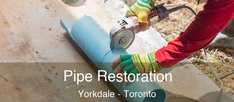  Pipe Restoration Yorkdale - Toronto