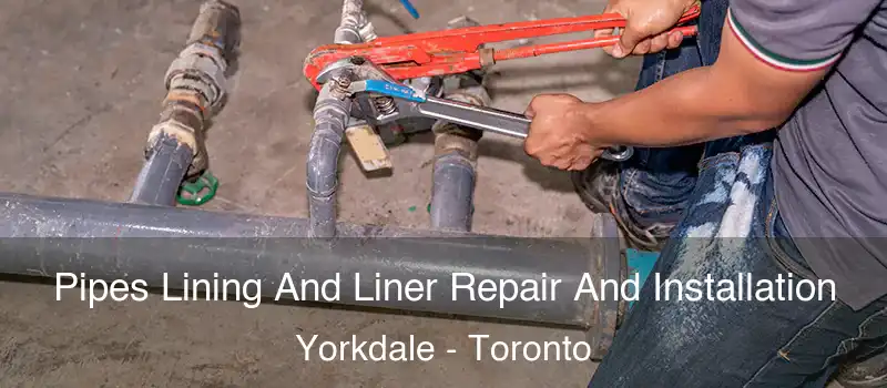  Pipes Lining And Liner Repair And Installation Yorkdale - Toronto
