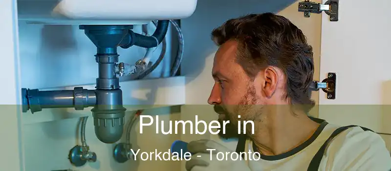  Plumber in Yorkdale - Toronto