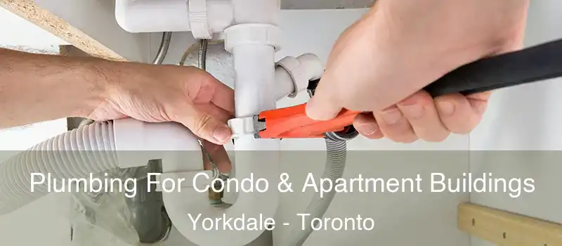 Plumbing For Condo & Apartment Buildings Yorkdale - Toronto