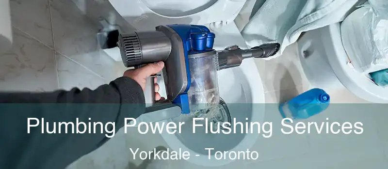 Plumbing Power Flushing Services Yorkdale - Toronto