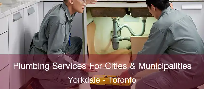 Plumbing Services For Cities & Municipalities Yorkdale - Toronto