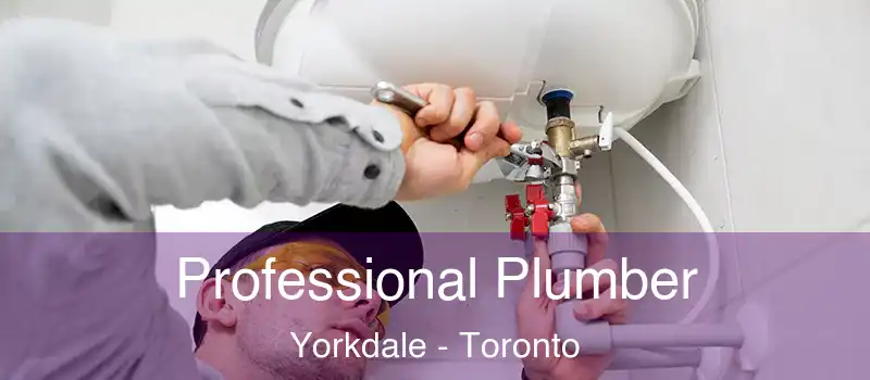 Professional Plumber Yorkdale - Toronto