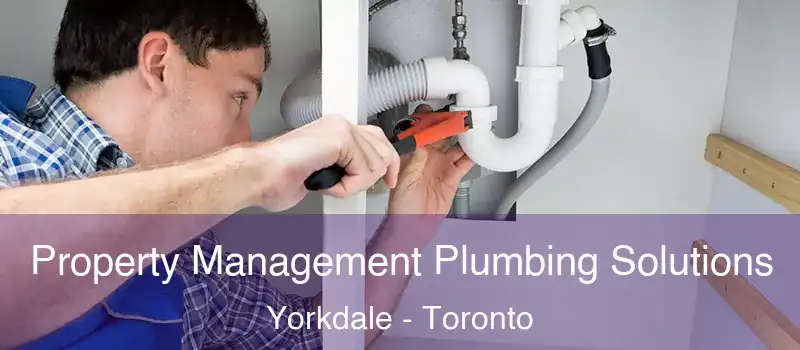  Property Management Plumbing Solutions Yorkdale - Toronto