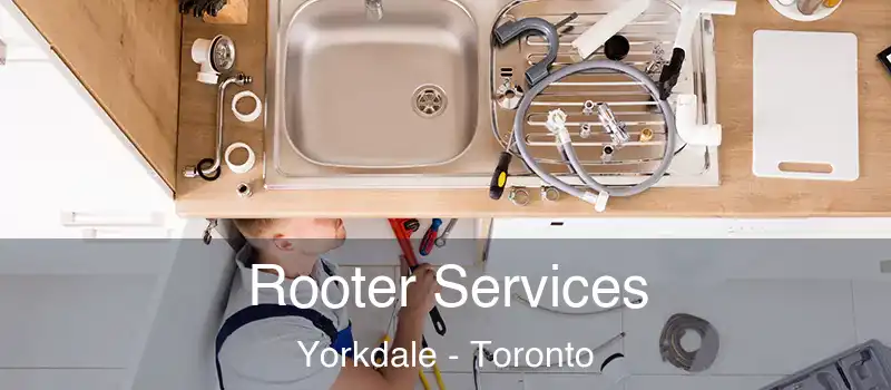  Rooter Services Yorkdale - Toronto