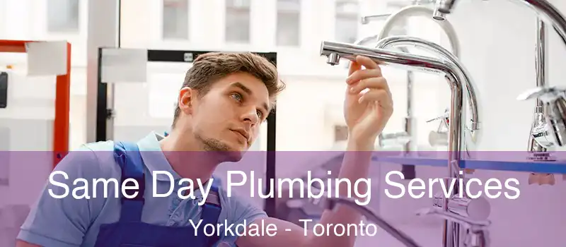 Same Day Plumbing Services Yorkdale - Toronto