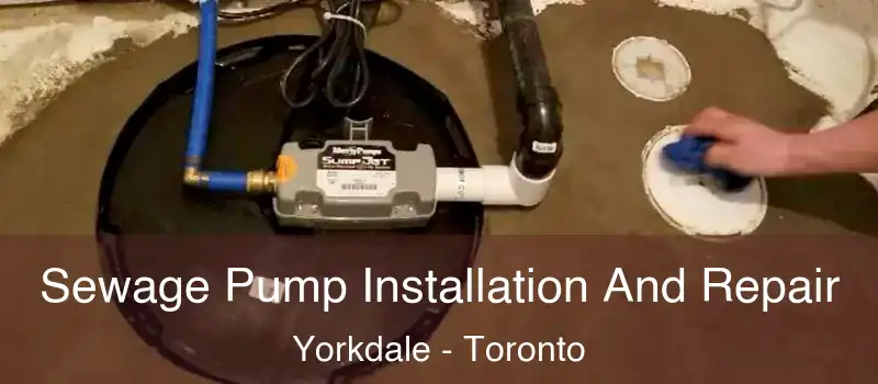 Sewage Pump Installation And Repair Yorkdale - Toronto