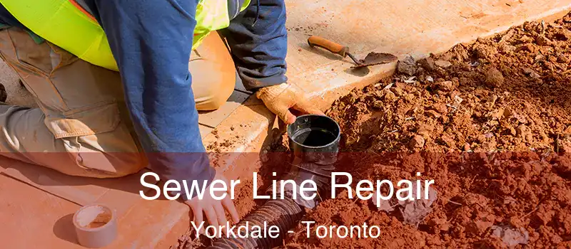  Sewer Line Repair Yorkdale - Toronto
