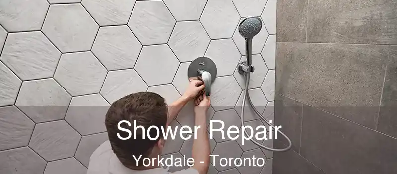 Shower Repair Yorkdale - Toronto
