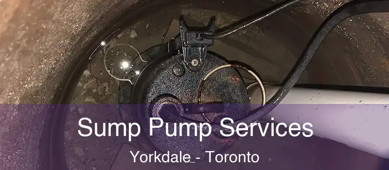  Sump Pump Services Yorkdale - Toronto