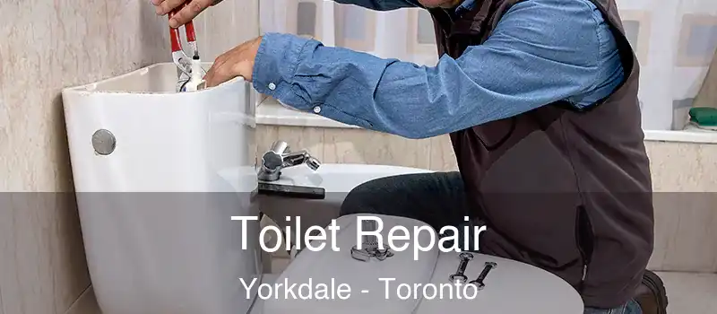 Toilet Repair Yorkdale - Toronto