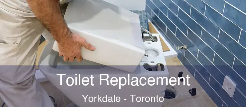 Toilet Replacement Yorkdale - Toronto