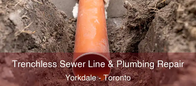 Trenchless Sewer Line & Plumbing Repair Yorkdale - Toronto