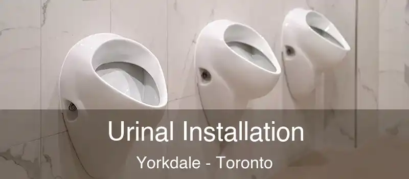  Urinal Installation Yorkdale - Toronto