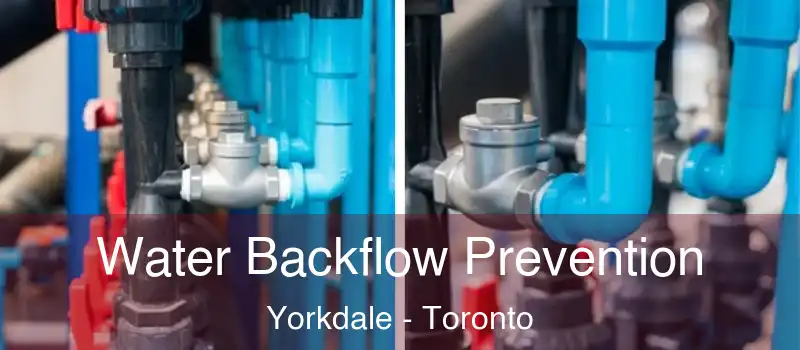  Water Backflow Prevention Yorkdale - Toronto