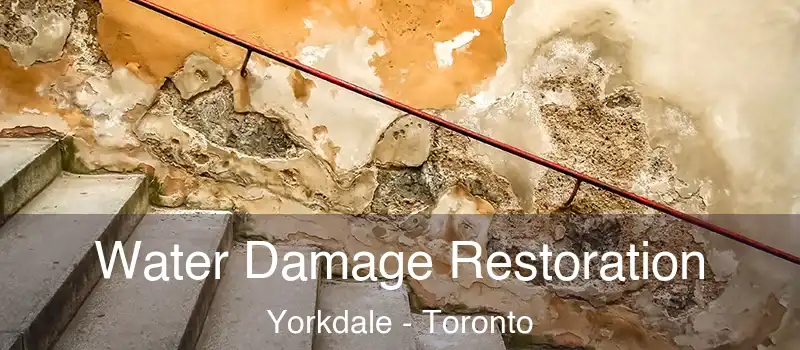  Water Damage Restoration Yorkdale - Toronto