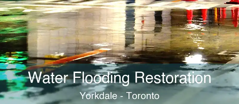  Water Flooding Restoration Yorkdale - Toronto