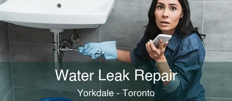 Water Leak Repair Yorkdale - Toronto