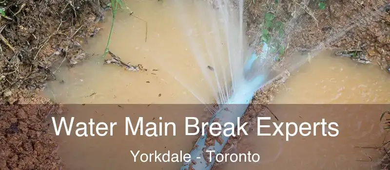 Water Main Break Experts Yorkdale - Toronto