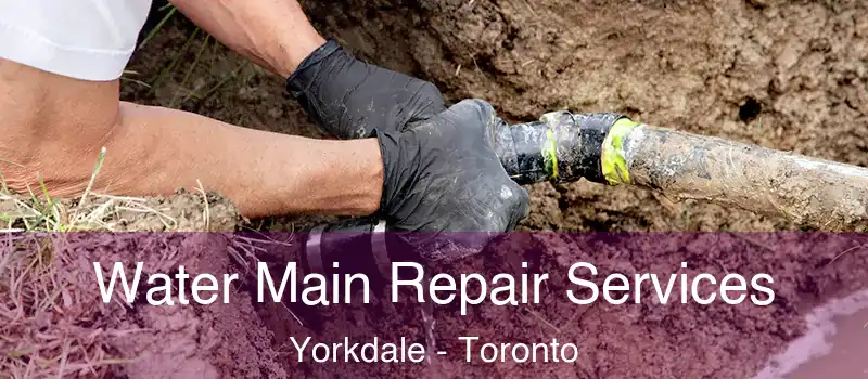  Water Main Repair Services Yorkdale - Toronto