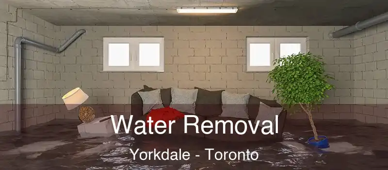 Water Removal Yorkdale - Toronto